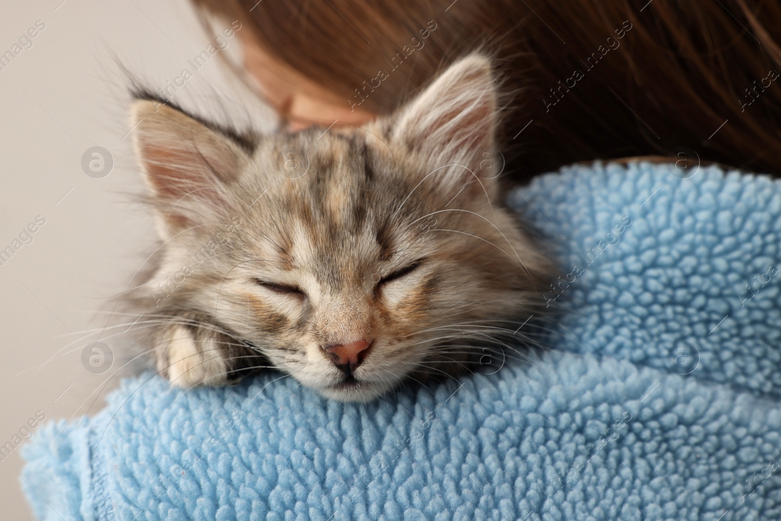 Photo of Cute fluffy kitten on owner's shoulder against light background, closeup