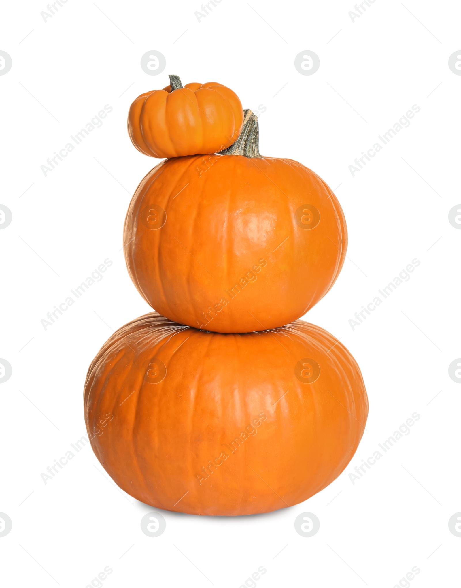 Photo of Fresh ripe pumpkins isolated on white. Organic plant