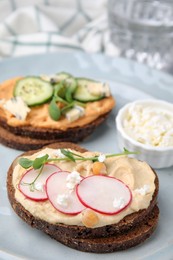 Delicious sandwiches with hummus and different ingredients on plate
