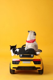 Photo of Cute pug dog and cat in toy car on yellow background, back view