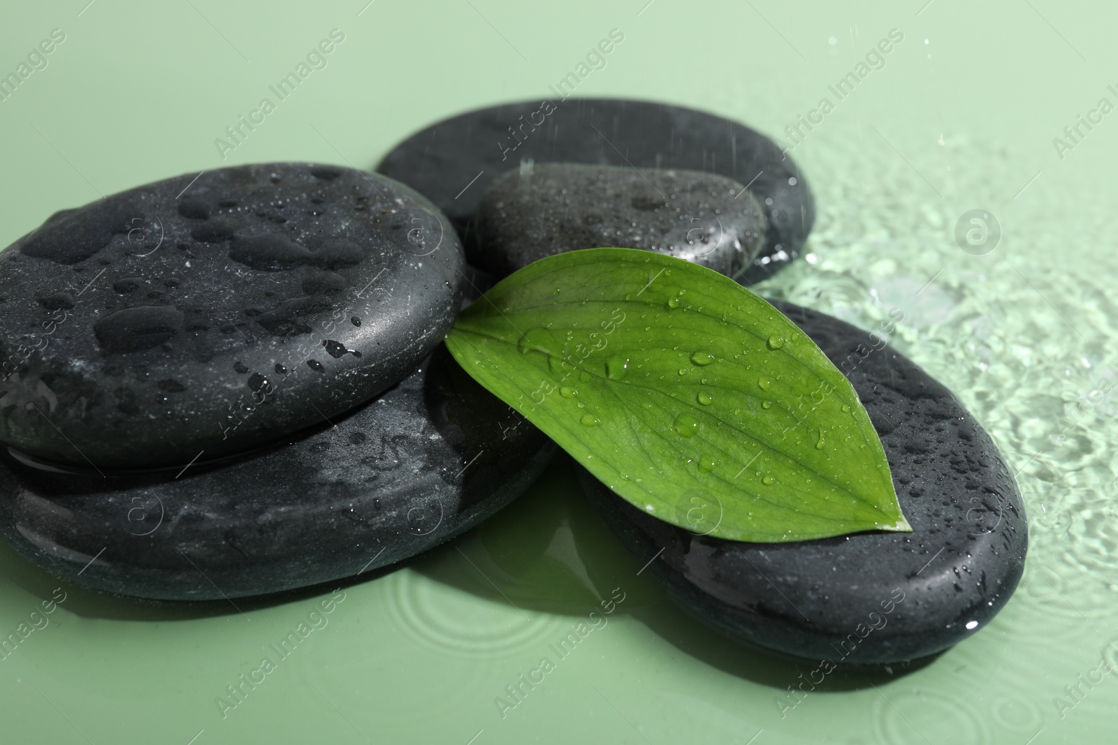 Photo of Spa stones and fresh leaves on light green background, closeup