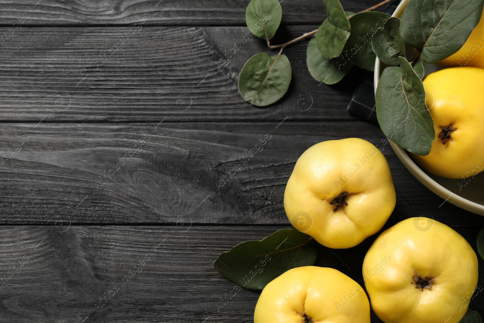 Photo of Fresh ripe organic quinces with leaves on black wooden table, flat lay. Space for text