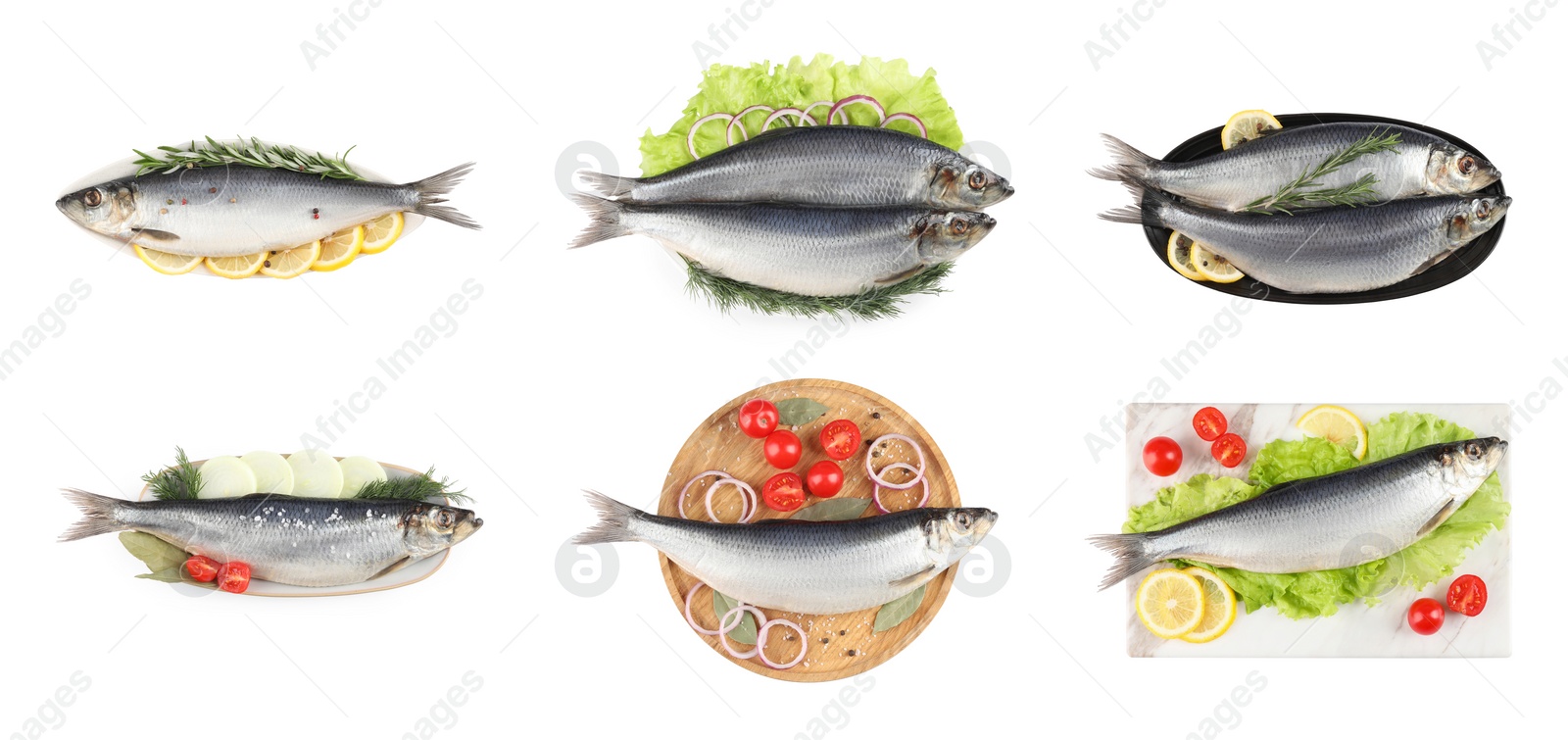 Image of Set with tasty salted herrings on white background, top view. Banner design