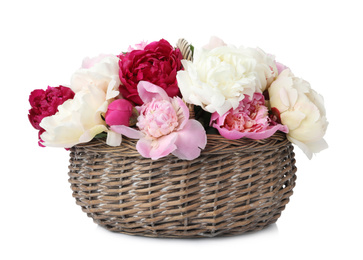 Photo of Beautiful peonies in wicker basket isolated on white