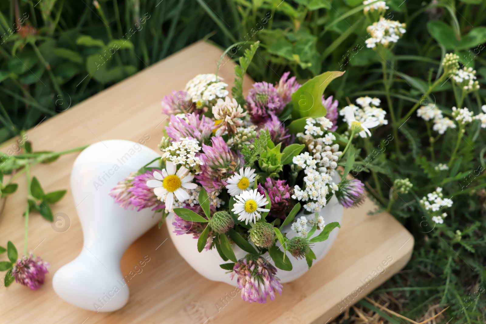 Photo of Ceramic mortar with pestle, different wildflowers and herbs on green grass outdoors