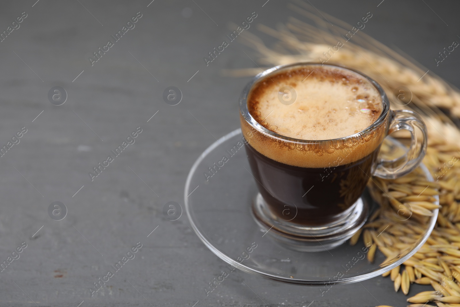 Photo of Cup of barley coffee and grains on gray table, closeup. Space for text