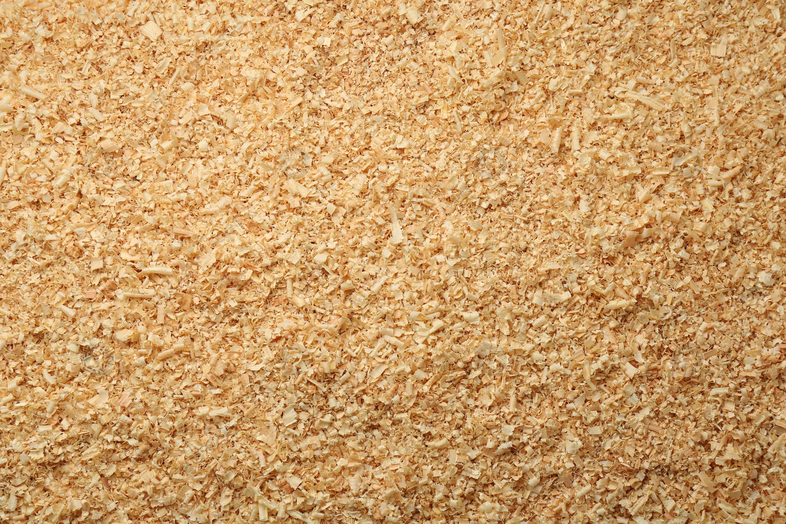 Photo of Dry natural sawdust as background, top view