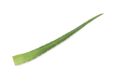 Photo of Green aloe vera leaf isolated on white, above view