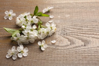 Photo of Spring blossoms, leaves and petals on wooden table, closeup. Space for text