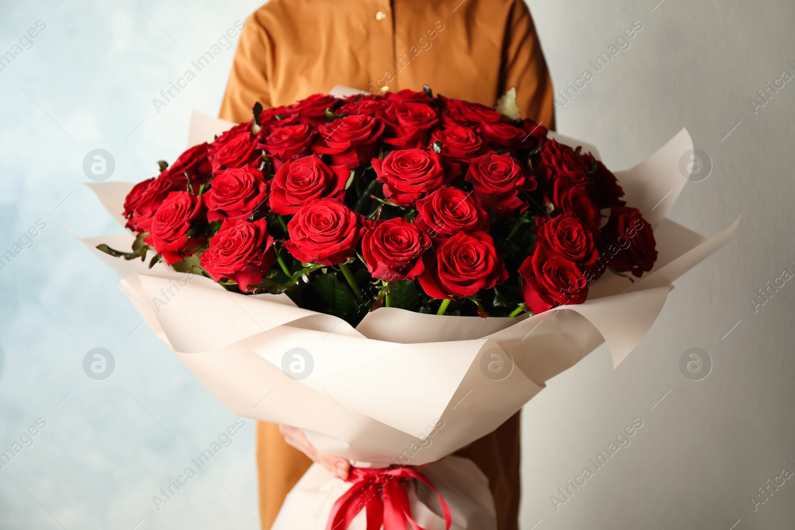 Photo of Woman holding luxury bouquet of fresh red roses on light background, closeup