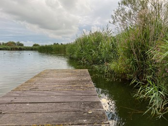 Photo of Picturesque view of river reeds and cloudy sky