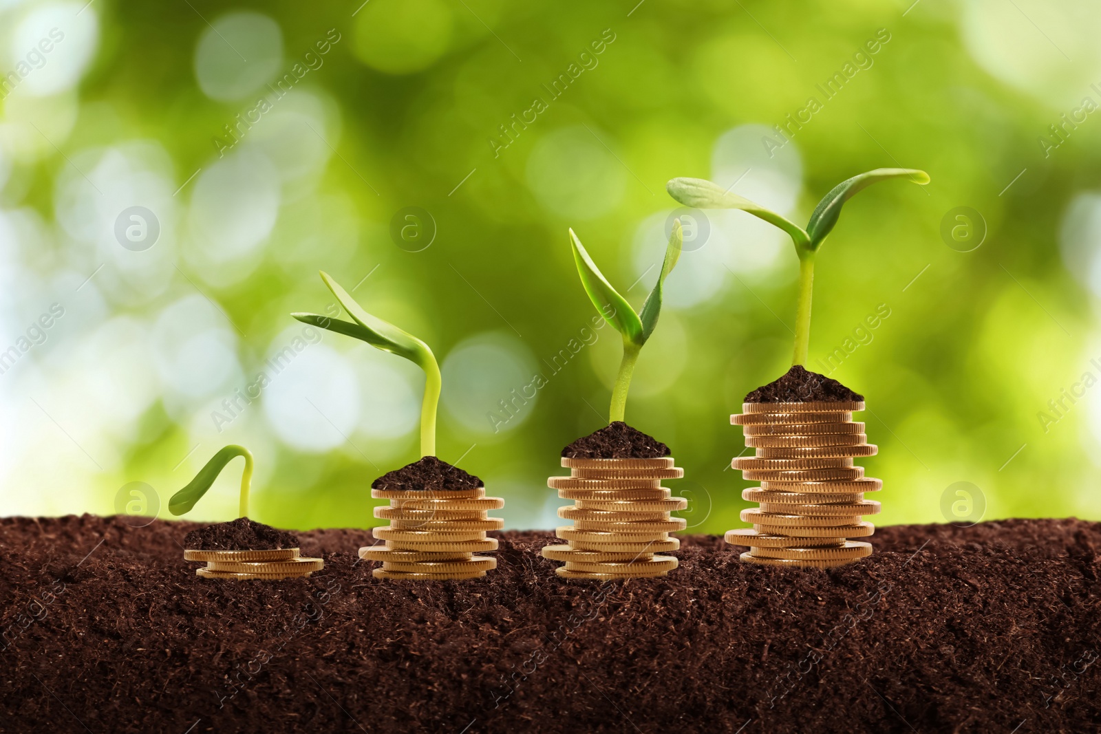 Image of Stacked coins and green seedlings on ground outdoors, bokeh effect. Investment concept