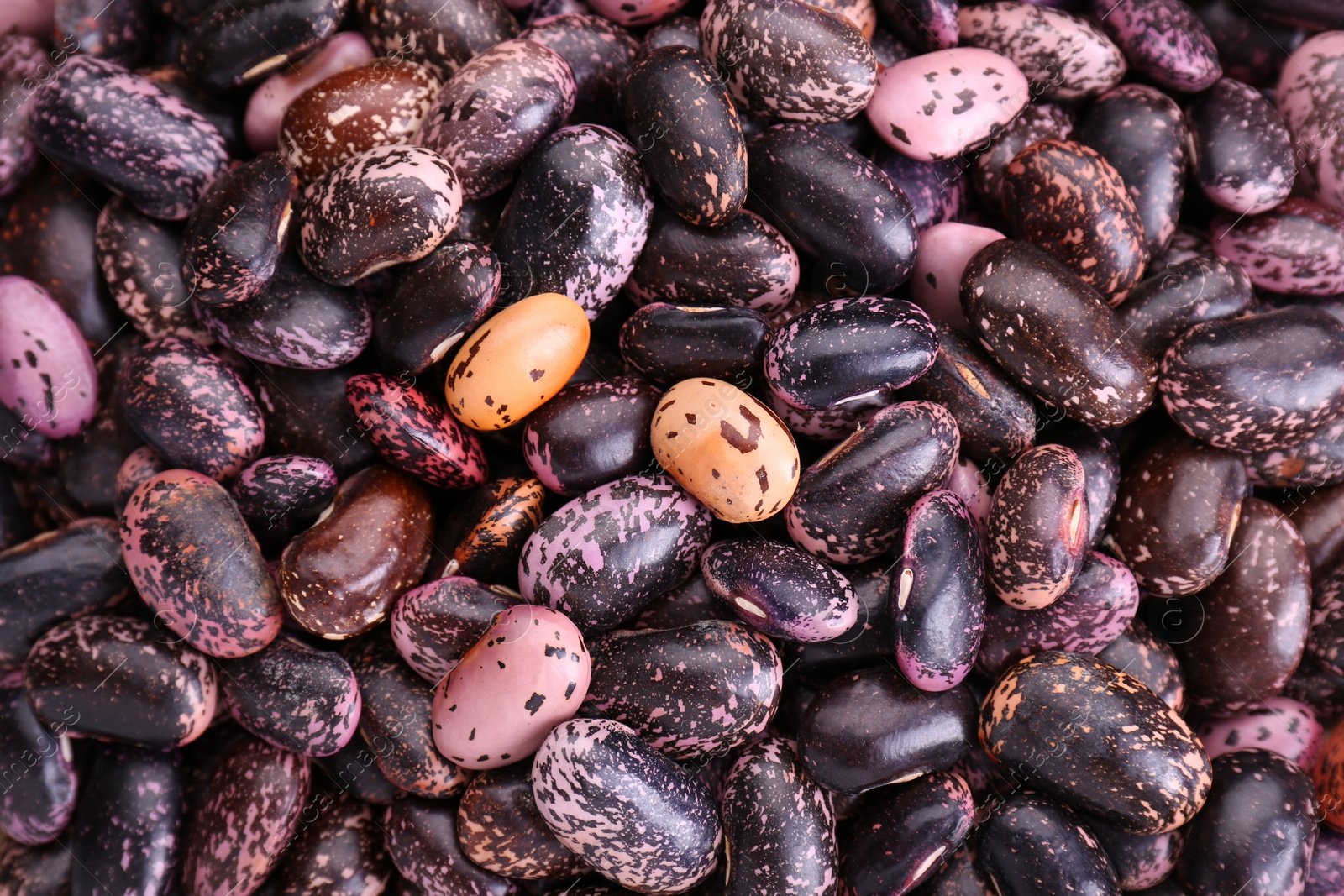 Photo of Many dry kidney beans as background, top view