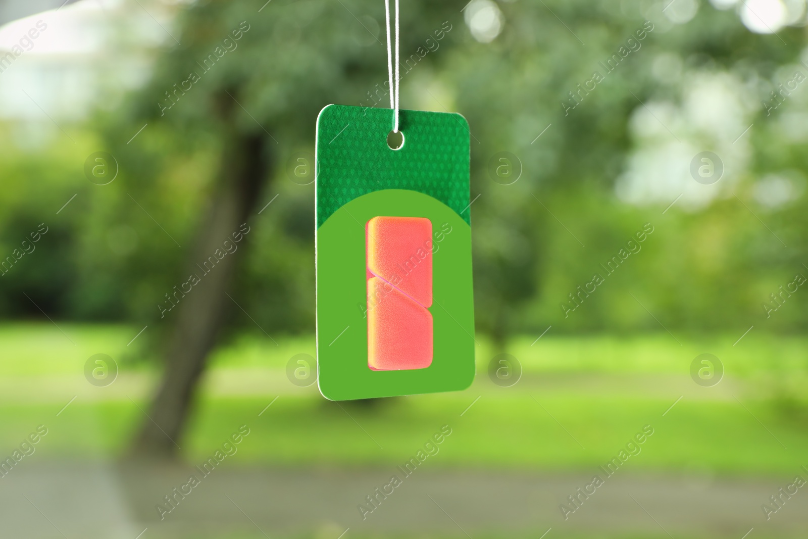 Photo of Air freshener hanging in car against windshield