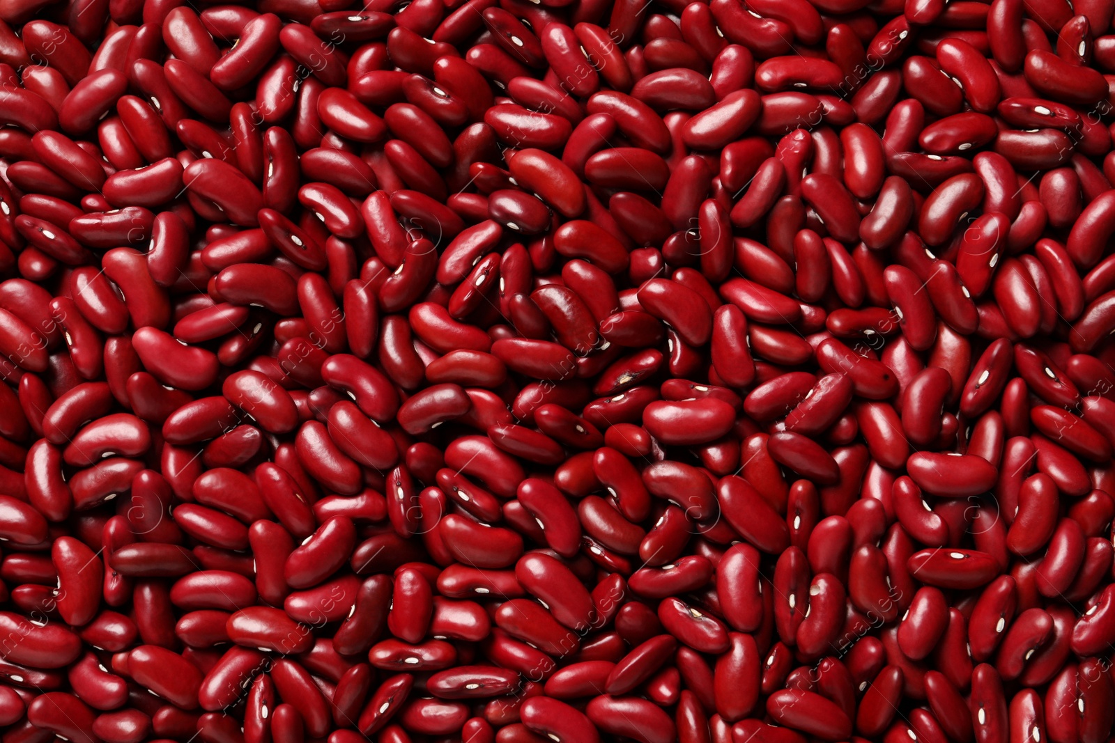 Photo of Top view of raw red kidney beans as background