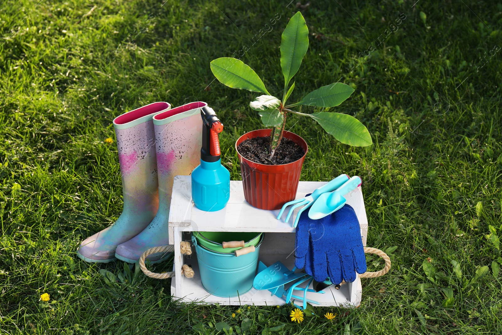 Photo of Pair of gloves, gardening tools, potted plant and rubber boots on grass outdoors