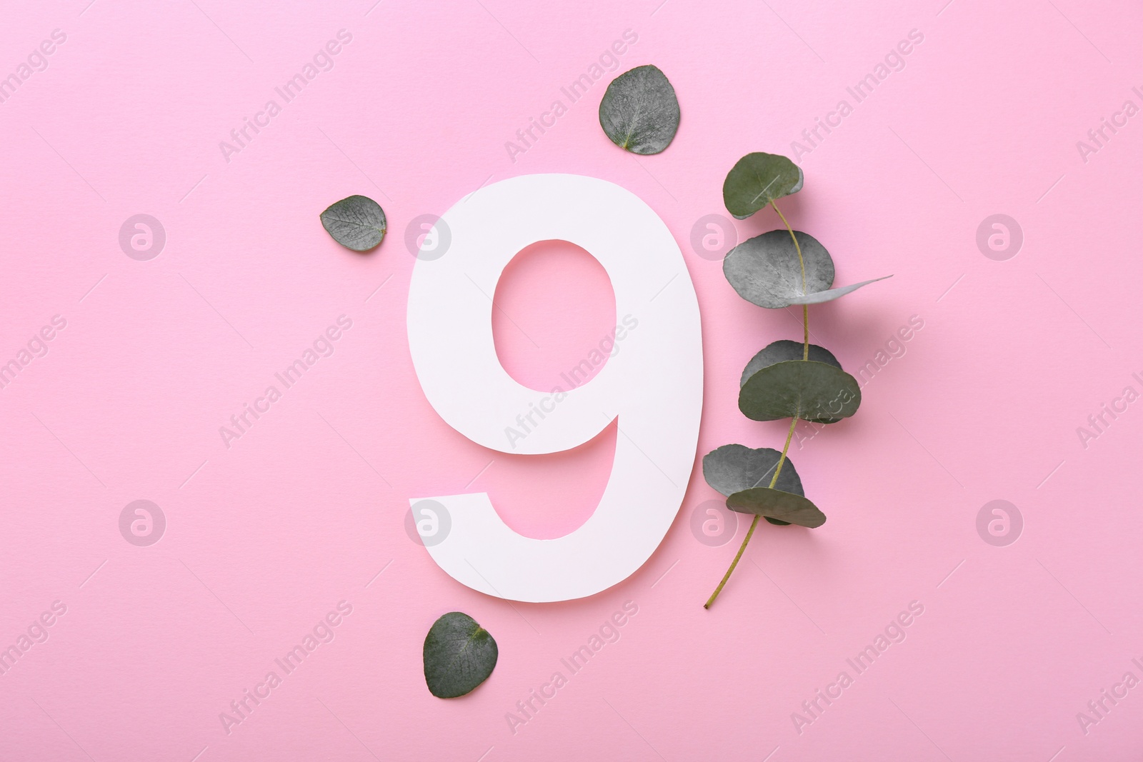 Photo of Paper number 9 and eucalyptus leaves on pink background, flat lay