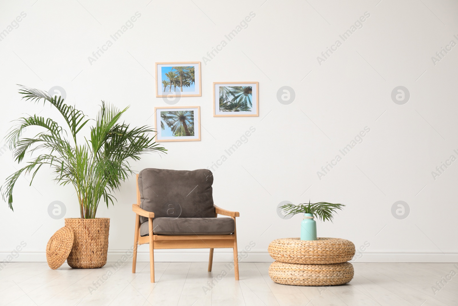 Photo of Stylish living room interior with wooden armchair and plants near white wall. Space for text