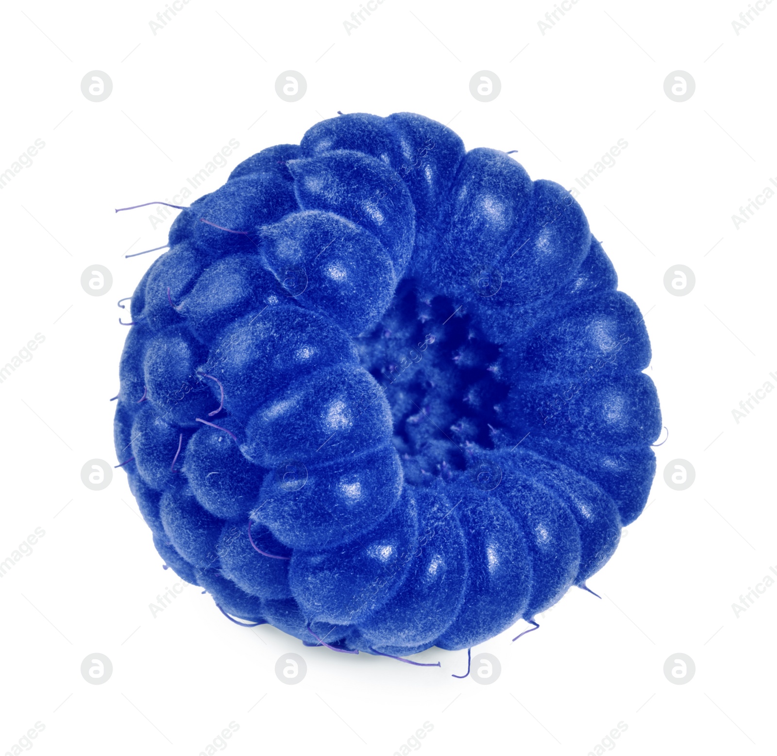 Image of One fresh blue raspberry isolated on white