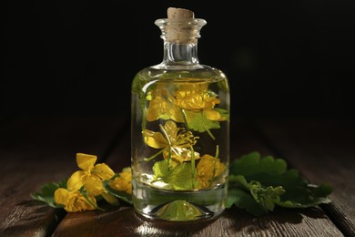 Photo of Bottle of celandine tincture and plant on wooden table