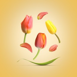 Image of Beautiful spring tulips flying on yellow background