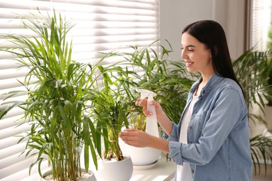 Woman spraying leaves of house plants indoors