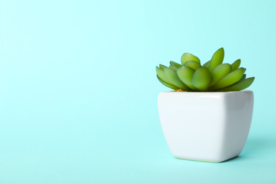 Artificial plant in flower pot on light blue background. Space for text