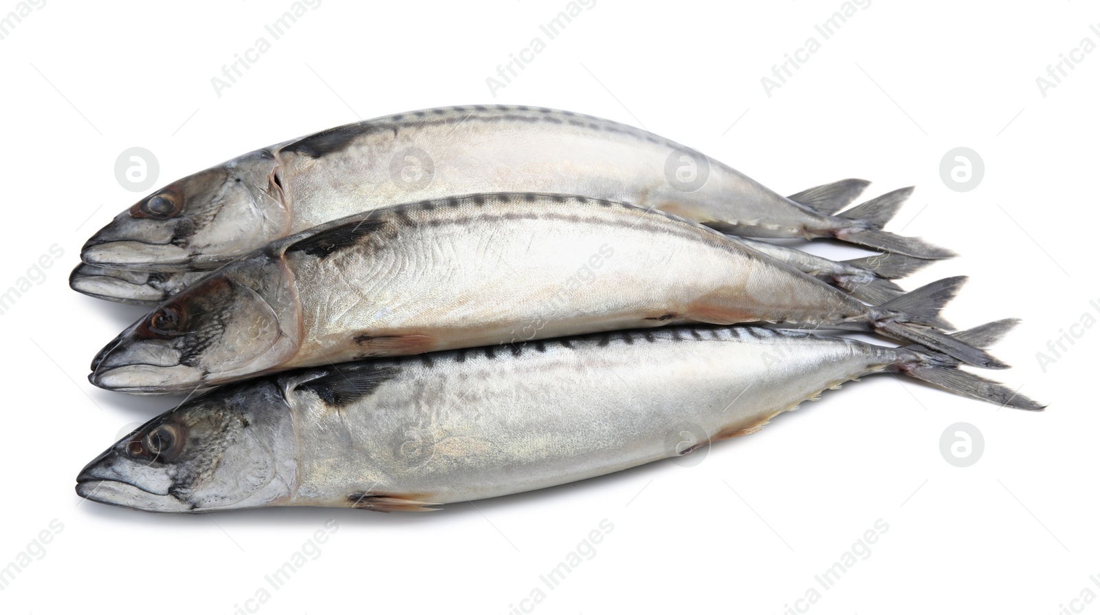 Photo of Three tasty raw mackerels isolated on white