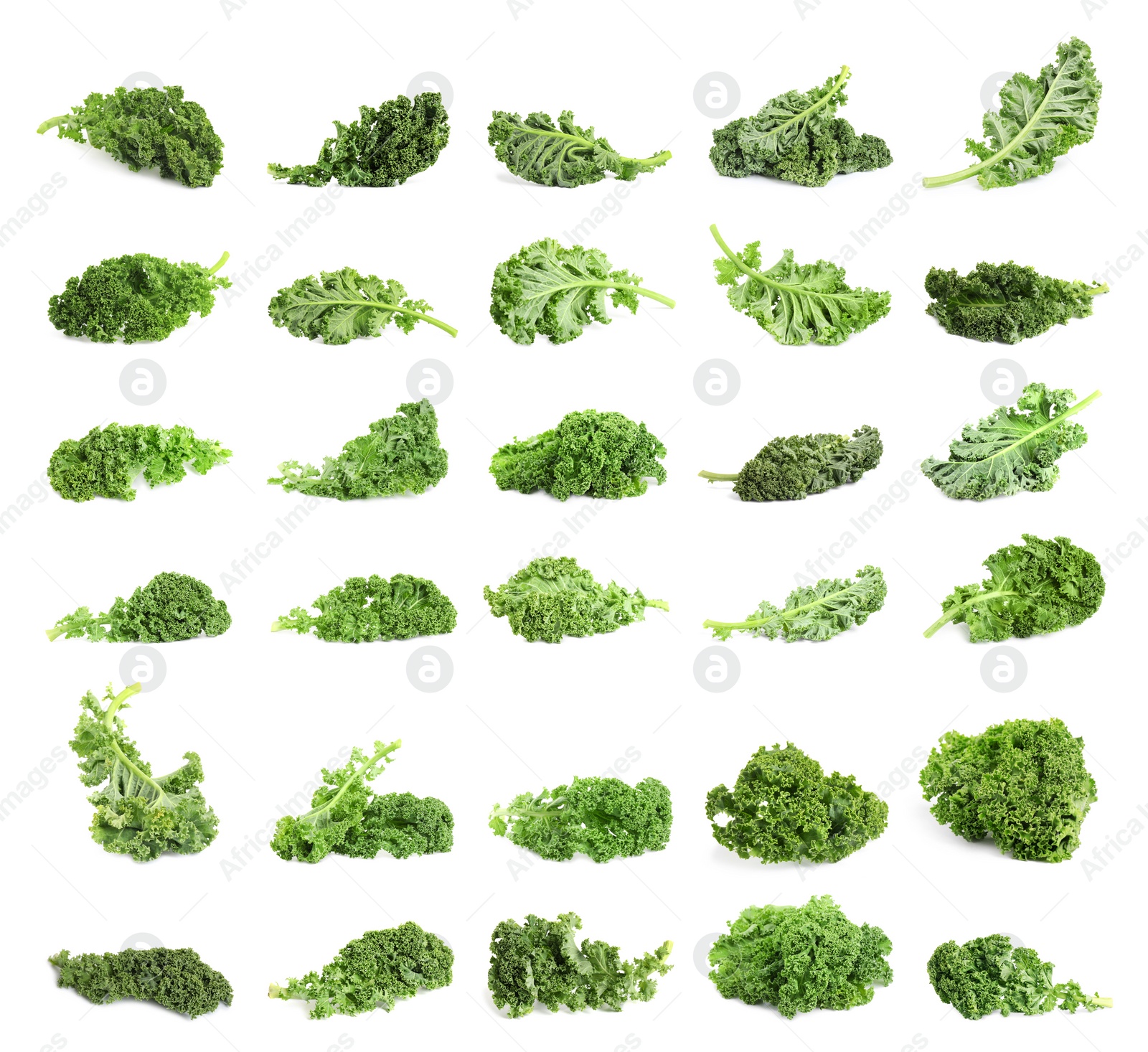 Image of Set of fresh green kale leaves on white background