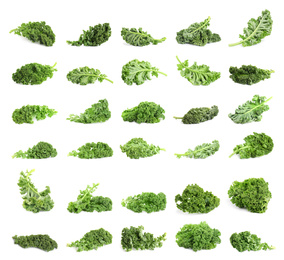 Image of Set of fresh green kale leaves on white background