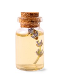 Bottle of lavender essential oil isolated on white