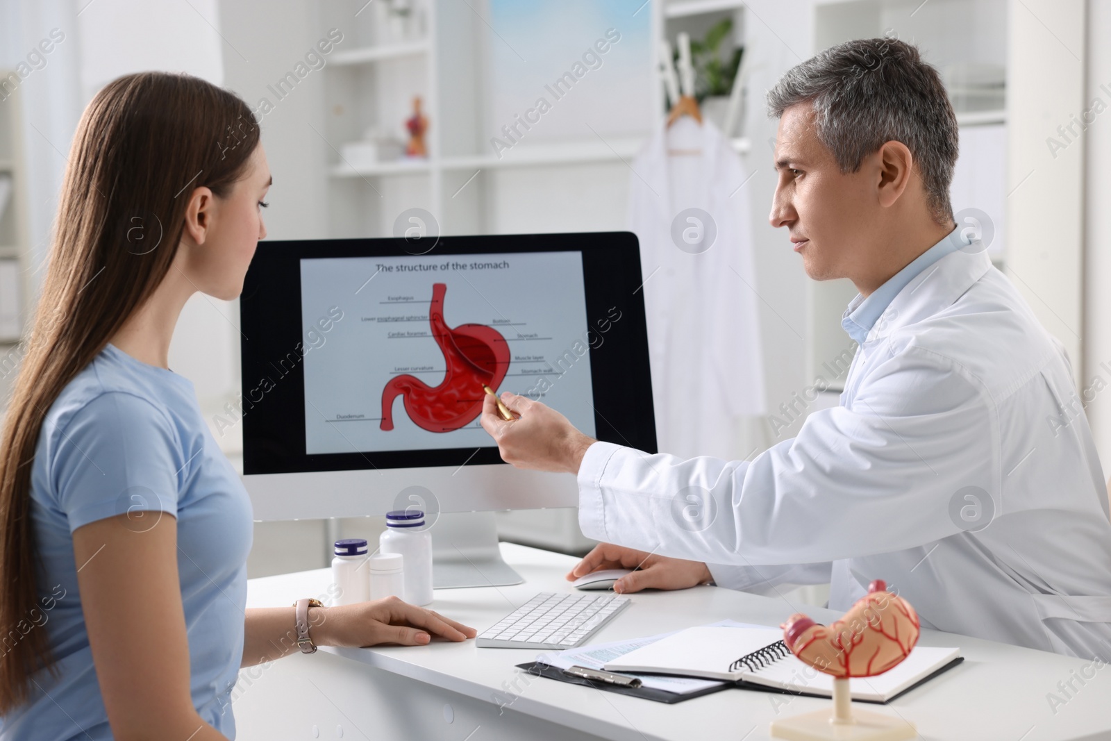 Photo of Gastroenterologist showing screen with illustration of human stomach model to patient at table in clinic