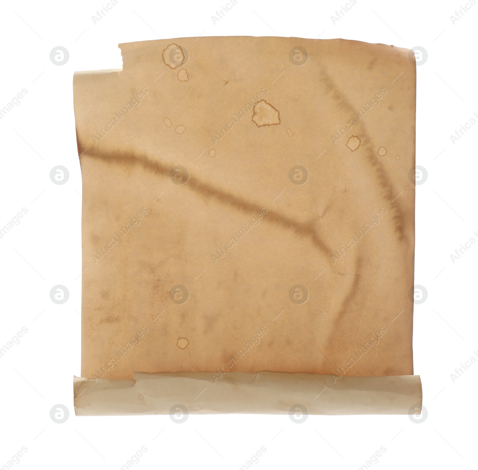 Photo of Sheet of old parchment paper isolated on white. Space for design