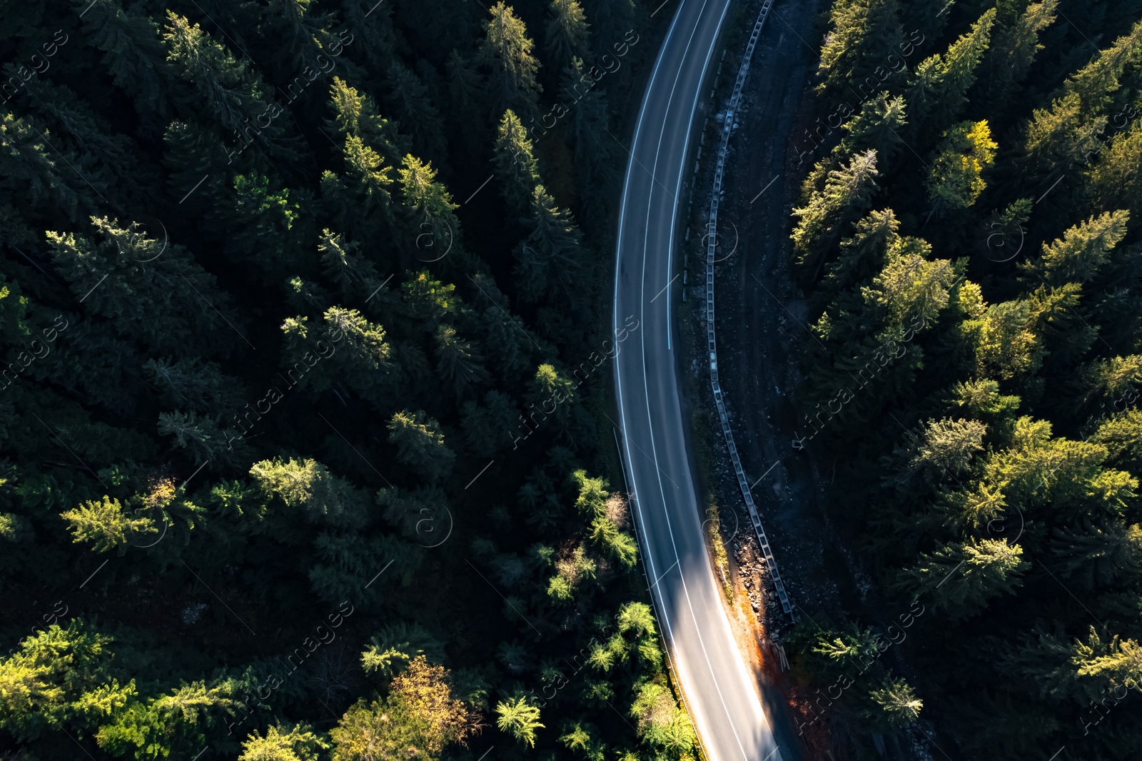 Image of Aerial view of asphalt road surrounded by coniferous forest on sunny day. Drone photography