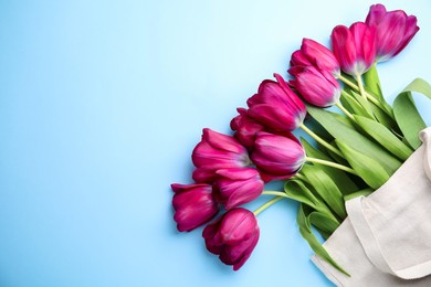 Photo of Beautiful purple tulips in tote bag on light blue background, top view. Space for text