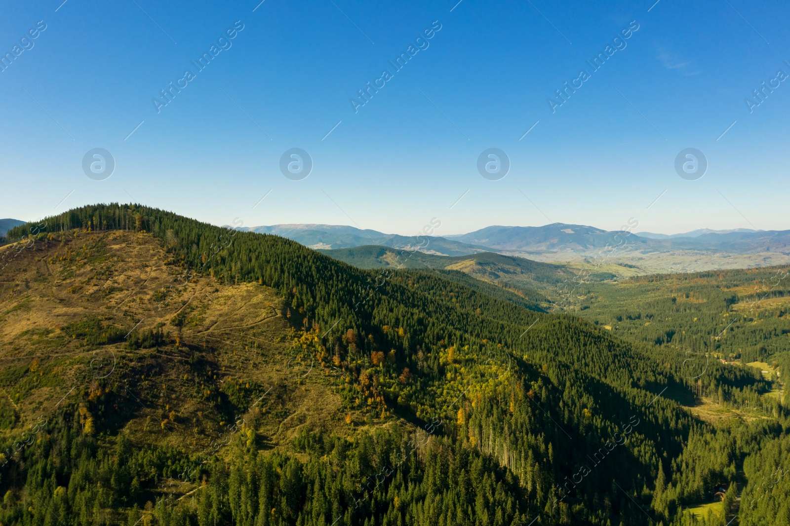 Image of Beautiful mountains and forest on sunny day. Drone photography