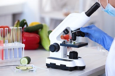Photo of Scientist inspecting cucumber with microscope in laboratory, closeup. Food quality control
