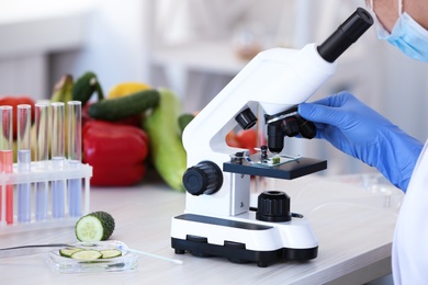 Scientist inspecting cucumber with microscope in laboratory, closeup. Food quality control