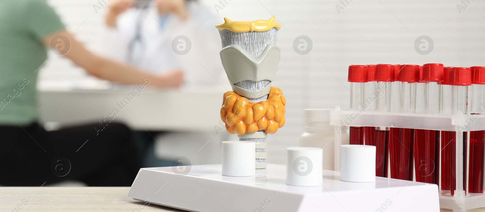 Photo of Endocrinologist examining patient at clinic, focus on model of thyroid gland and blood samples in test tubes. Banner design