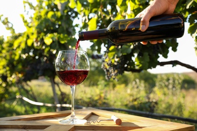 Photo of Man pouring wine from bottle into glass in vineyard, closeup