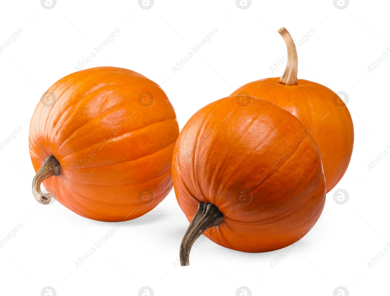 Photo of Many fresh orange pumpkins isolated on white