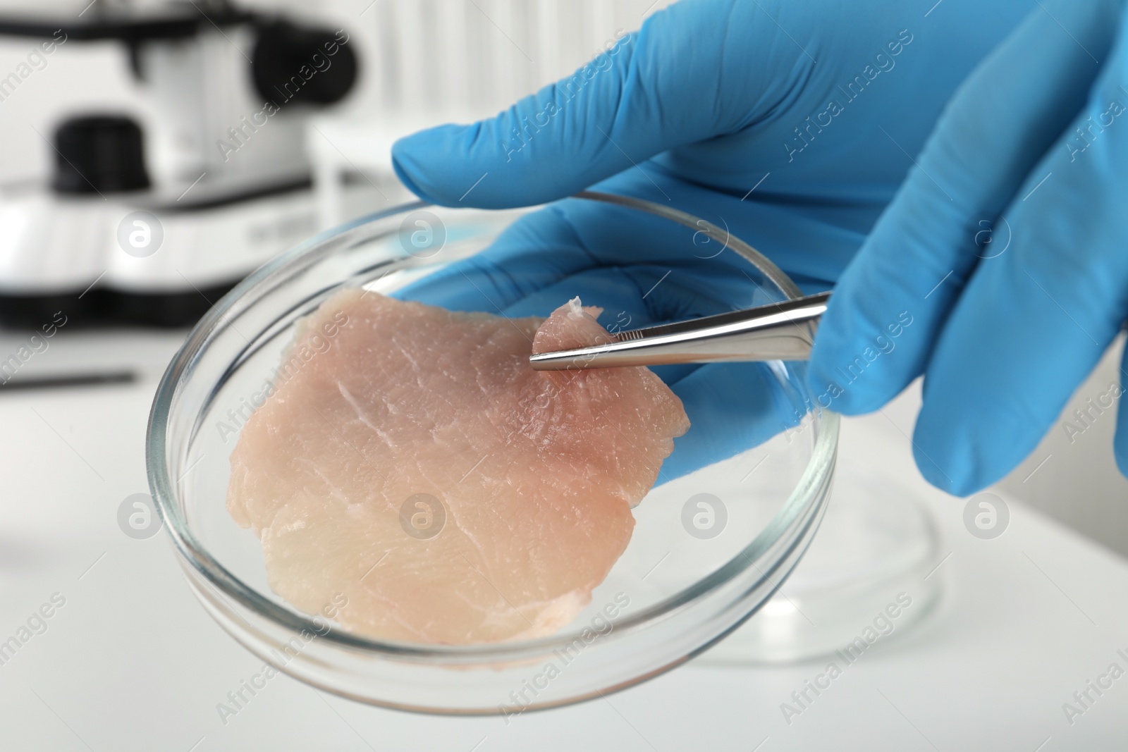 Photo of Scientist taking raw cultured meat out of Petri dish with tweezers in laboratory, closeup