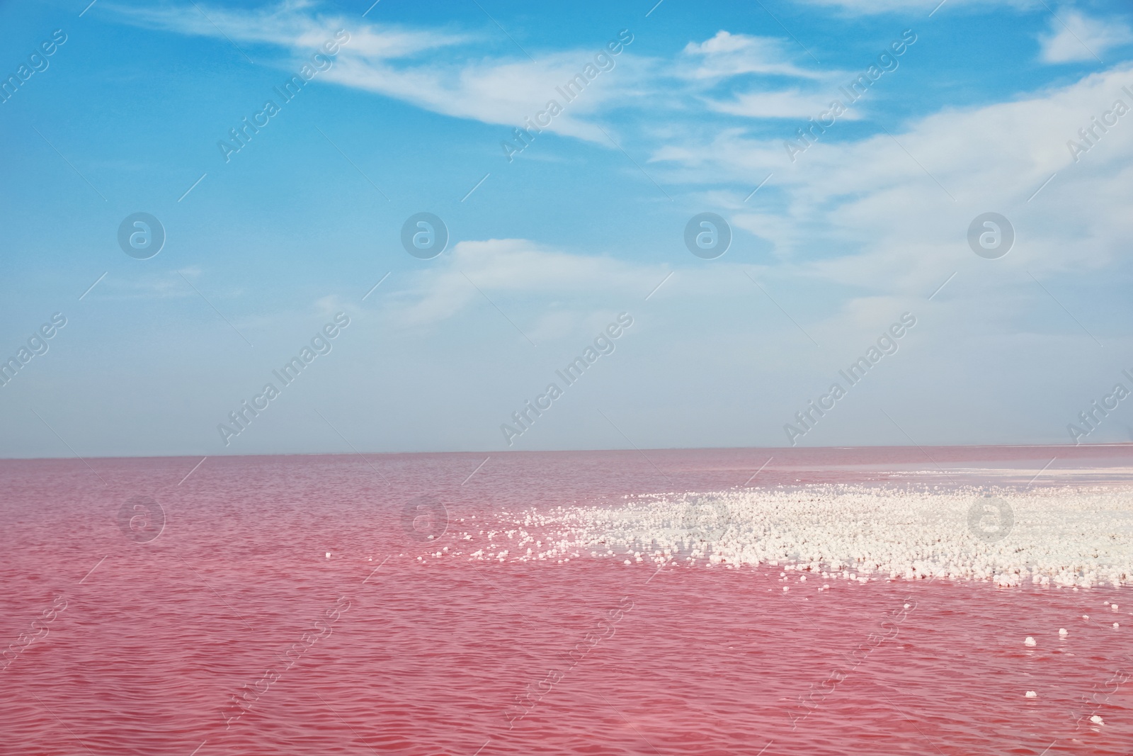 Photo of Beautiful view of pink lake on summer day