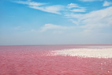 Beautiful view of pink lake on summer day