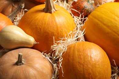 Photo of Many fresh raw whole pumpkins and wood shavings as background, closeup. Holiday decoration