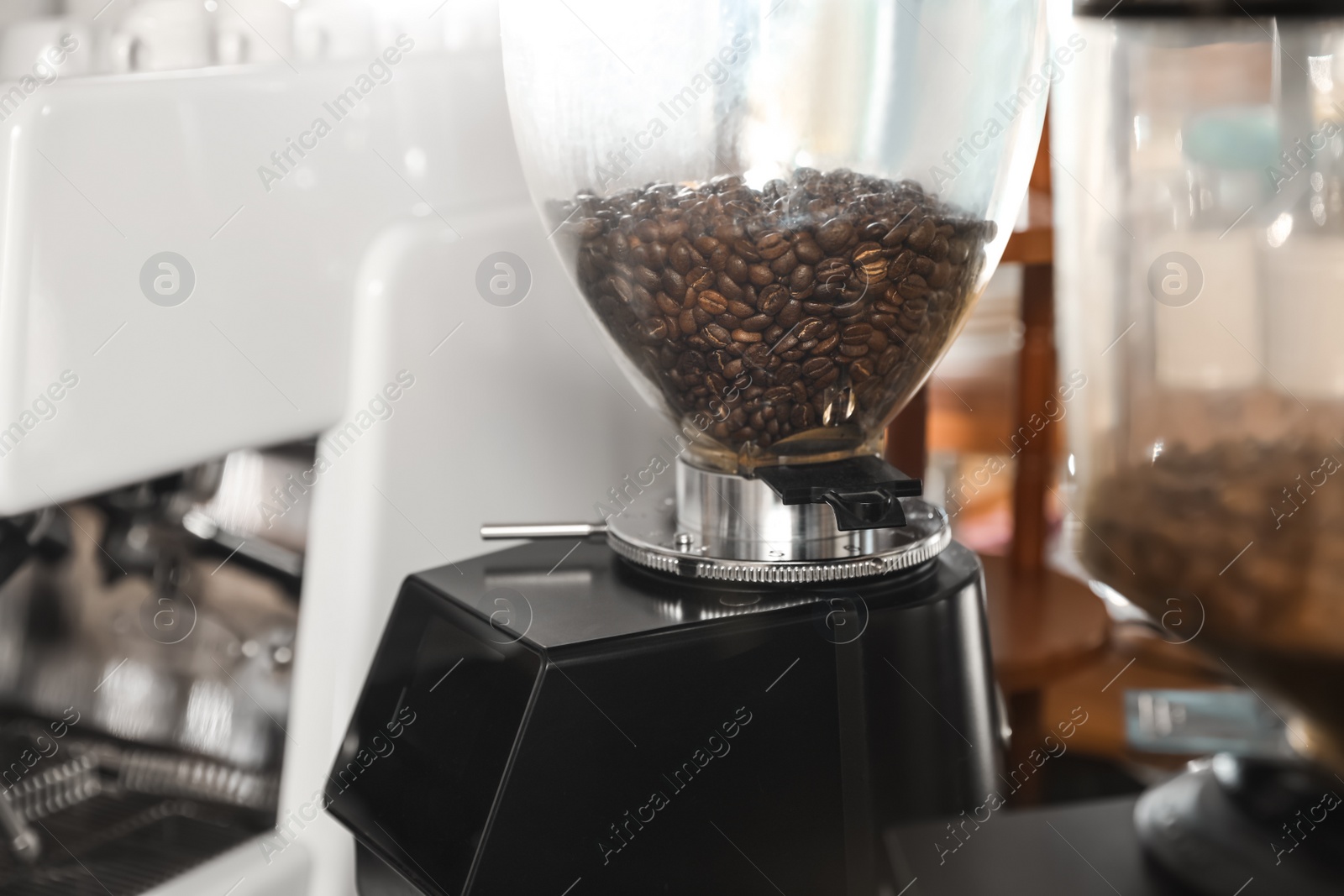 Photo of Coffee beans in grinder hopper, closeup. Space for text