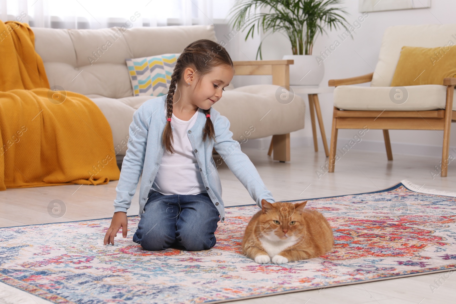 Photo of Little girl petting cute ginger cat on carpet at home