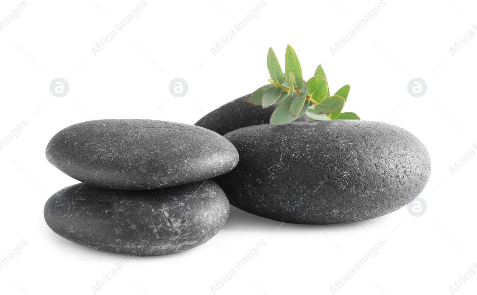 Photo of Black spa stones with eucalyptus isolated on white