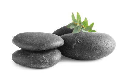 Photo of Black spa stones with eucalyptus isolated on white