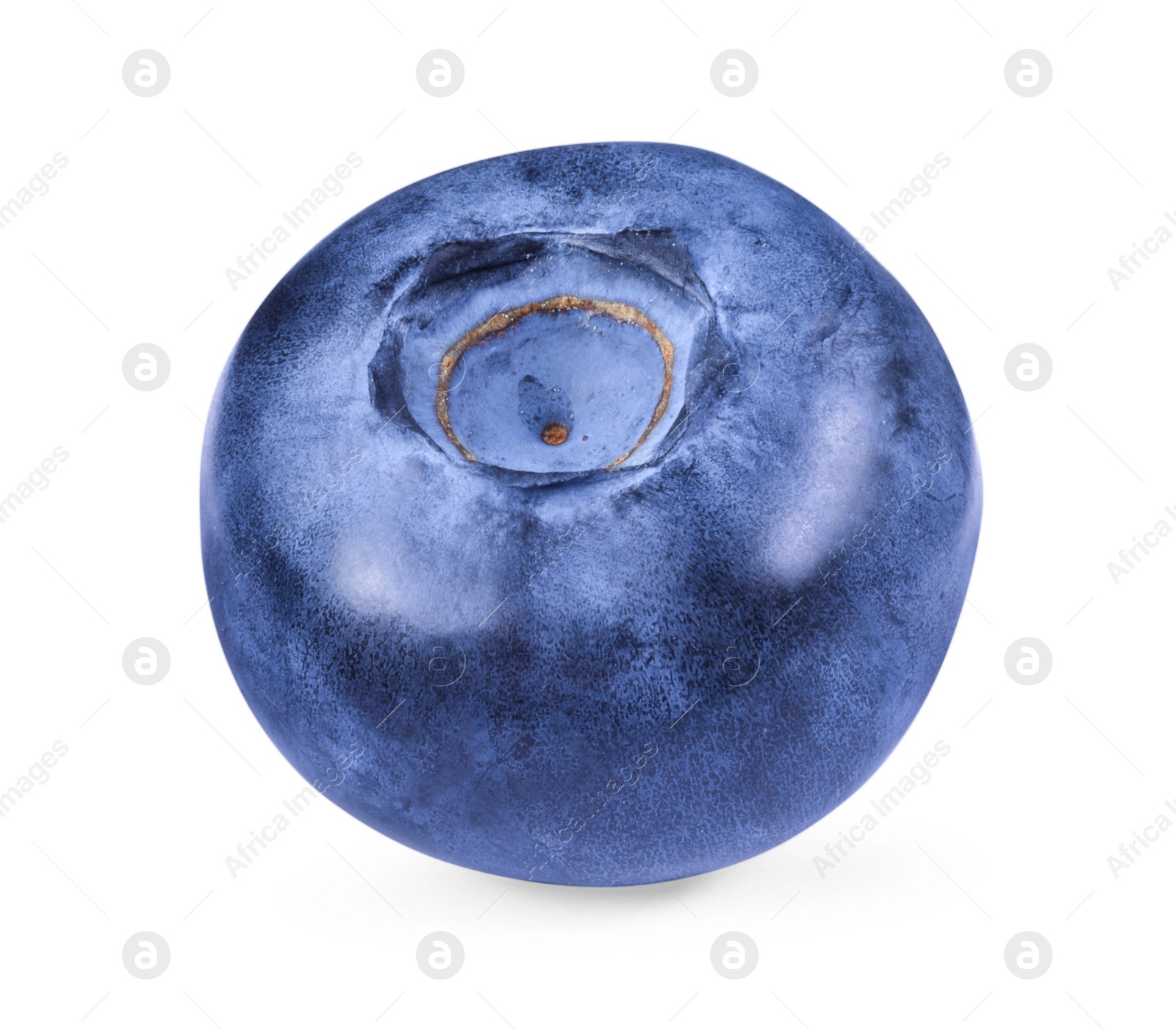 Photo of One ripe tasty blueberry isolated on white